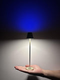 RGB Palm-Sized Cordless Table Lamp, Rechargeable Touch Metal Bedside Lamp, 3 Brightness 3000K Warm Light, Small Table Lamp for Bedroom, Restaurant, Patio, Camping (Champagne Gold 1 Pack)
